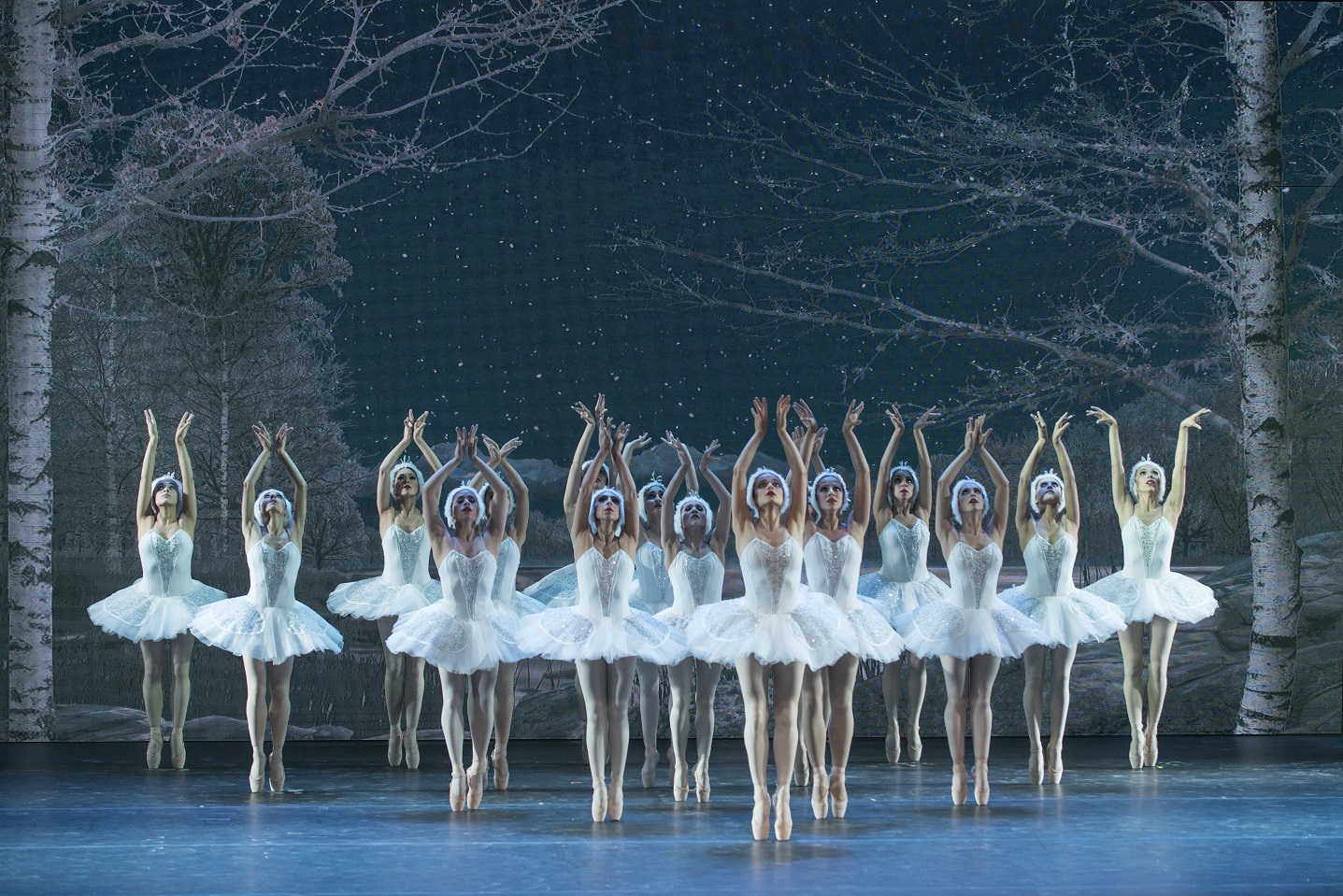 Photo of En forma gratuita presentarán en iquique ballet “El Lago de los Cisnes”