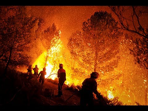 Photo of 100 bomberos de la región de Tarapacá ayudarán a combatir incendios forestales