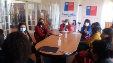 Photo of Seremi de la Mujer y SernamEG impulsaron un conversatorio con profesionales de VCM