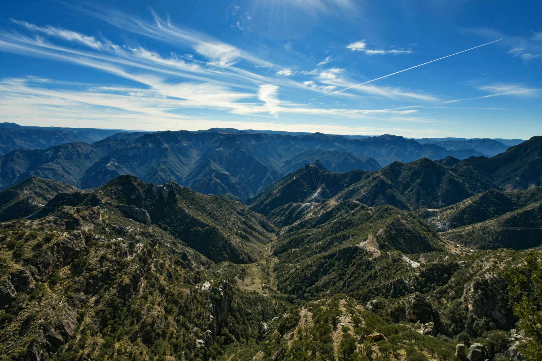 green trees on mountain under blue sky